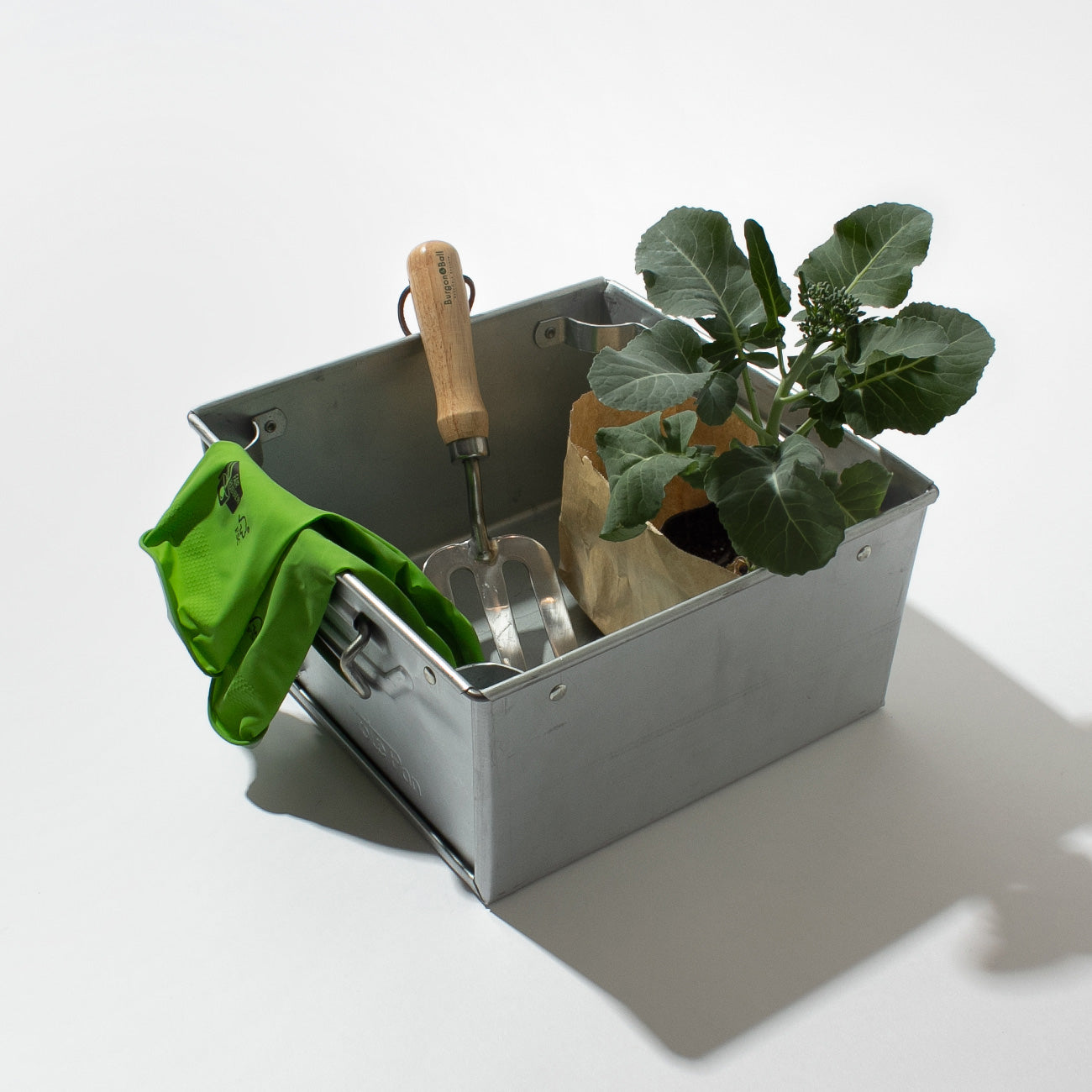 IF YOU CARE 天然ゴムハウスホールドグローブ S