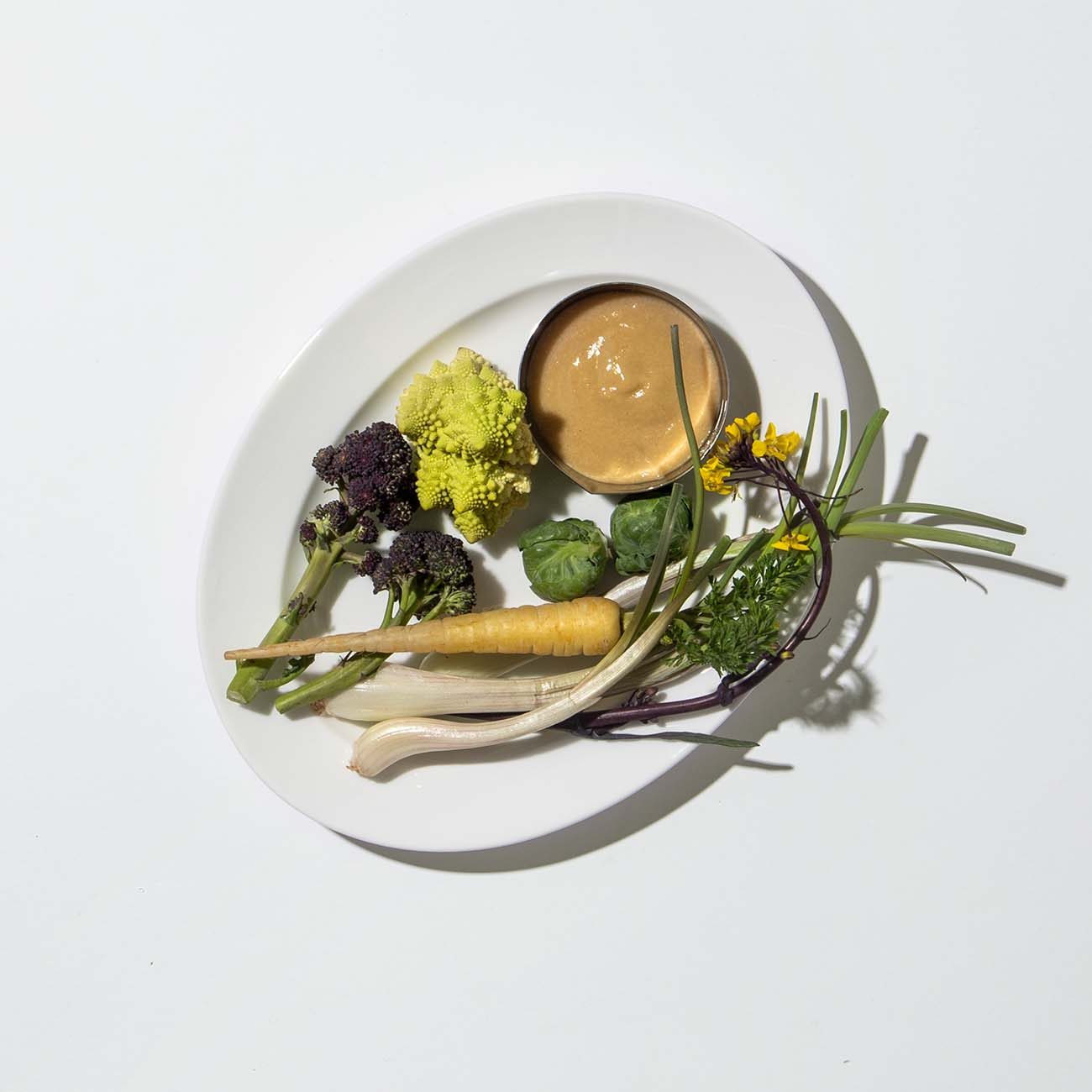 家事問屋 小分け調味ボウル 7