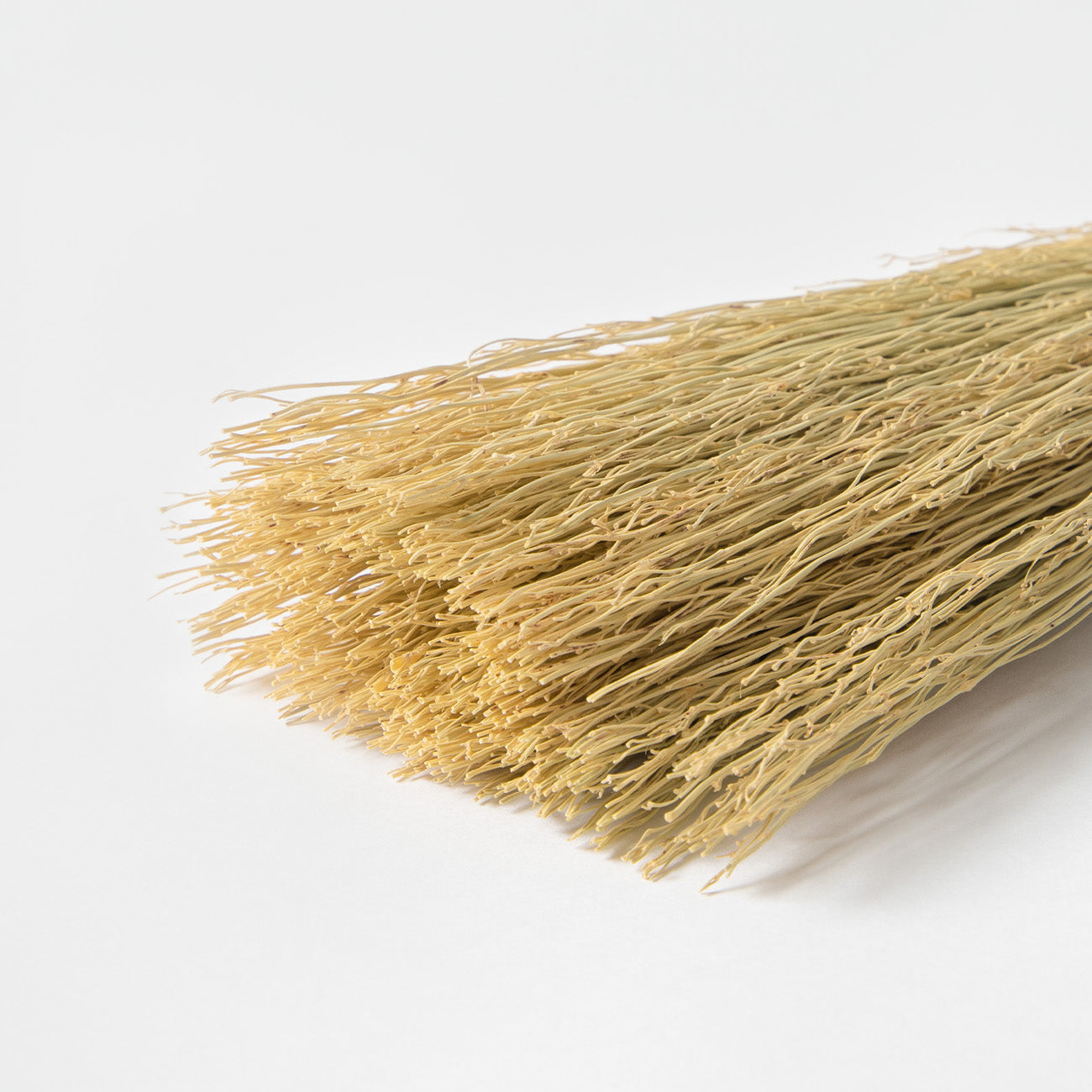 松野屋 孫ほうき