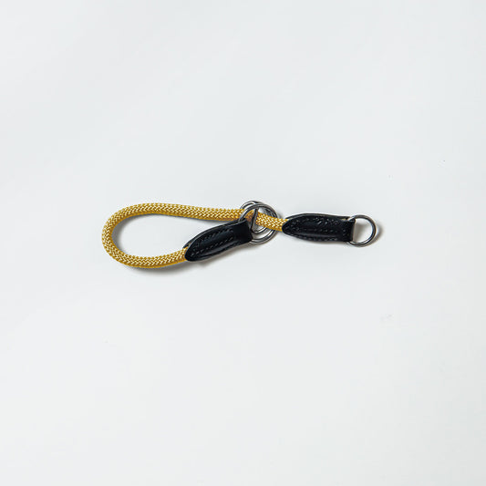 HUNTER 犬用 トレーニングカラー エイビーFS 30/XS-S イエロー